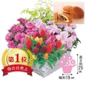 ��ȭ�֥ޥ������Х����åȡפɤ�Ƥ����å�