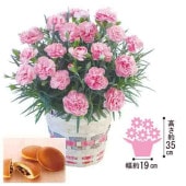 �����͡������֥��ץꥷ���פɤ�Ƥ����å�