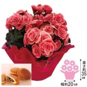 �Х�餭�٥��˥��֥ܥꥢ���פɤ�Ƥ����å�