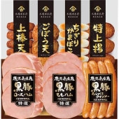 ���������ߡۥץ�ޥϥ� �����縩����̣�ι��ڥϥ�����Ĥ��Ȥ����å� KKS-300��N