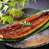 �����������ϡ����ϰ쿧���ҿ��ơӤ�ú�м�Ƥ��ʤ����� ����160��  1��