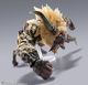 S.H.MonsterArts �㹷�����顼�����