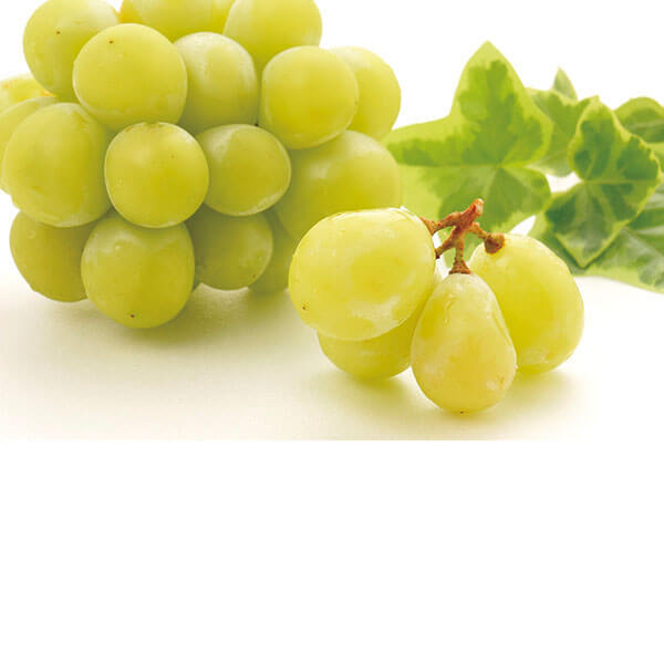 ���������ߡ�Ĺ��� ���㥤��ޥ����å�