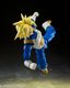 S.H.Figuarts �����ѡ�������ͥȥ�󥯥�-���οȤ���ᤷ�����ѡ��ѥ-