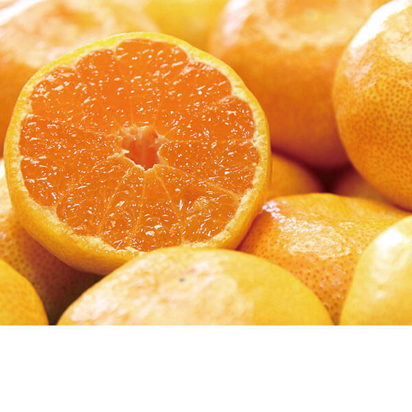 ���������ߡ�Ȣ��̼ 3kg