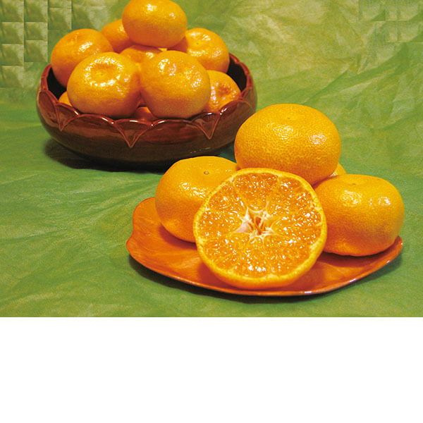 ���������ߡ۳����ߤ��� 3kg