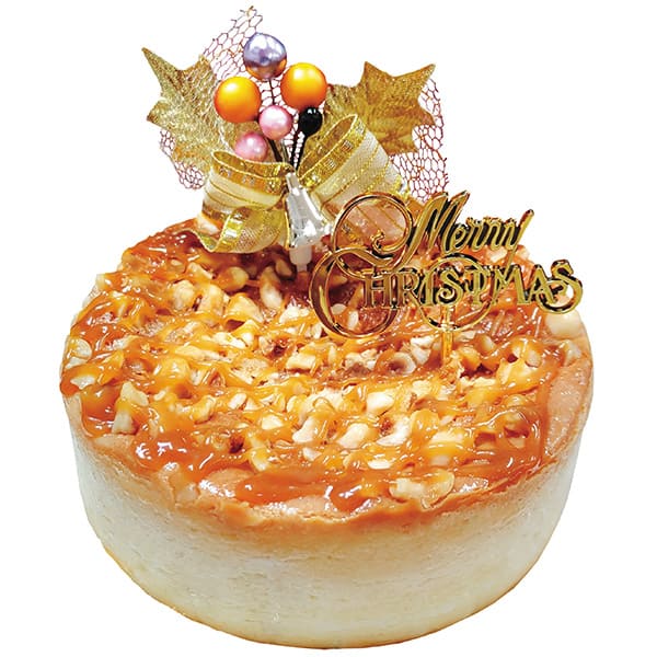 41 �ɸ�Ʋ�ƽ� ǻ��������������
