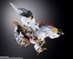 METAL BUILD DRAGON SCALE ζ����