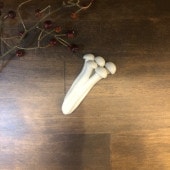 Ȥ�֤��ʤ��Τ���