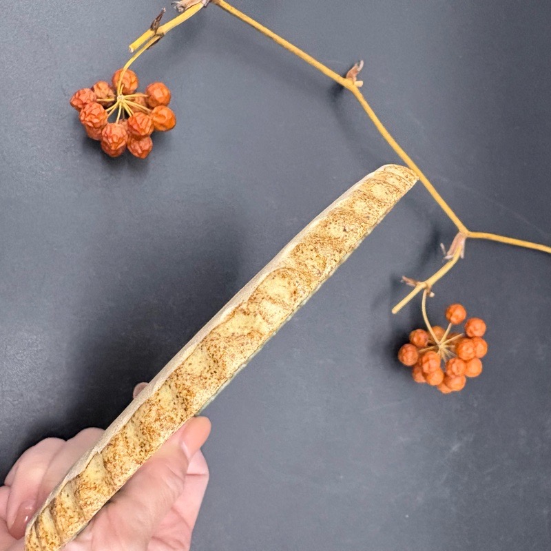 �ʤߤʤߥץ졼�ȡ���̭�