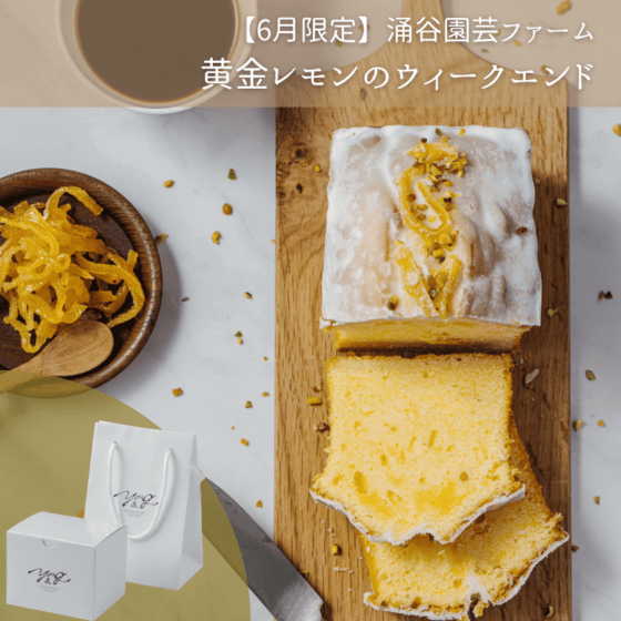 すべての商品通販 ｜パウンドケーキ専門店YOU&G（ユージー）