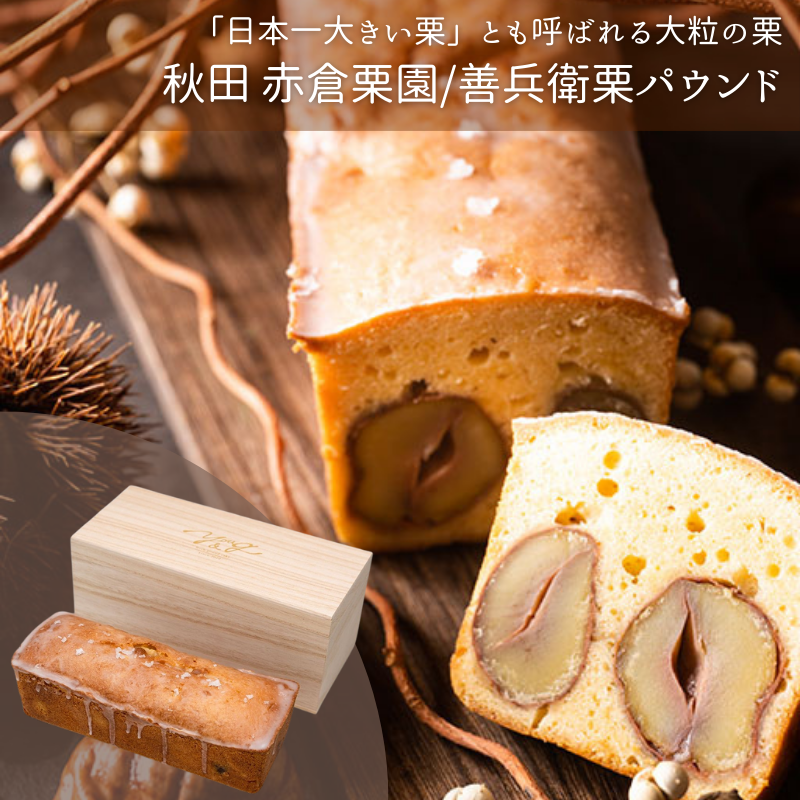 栗めぐり-3種の栗パウンド-