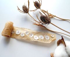 �ڤ�ͽ���bliss bunch(�֥ꥹ�Х��)���㥷���֥졼�ե��ե����֥饦����