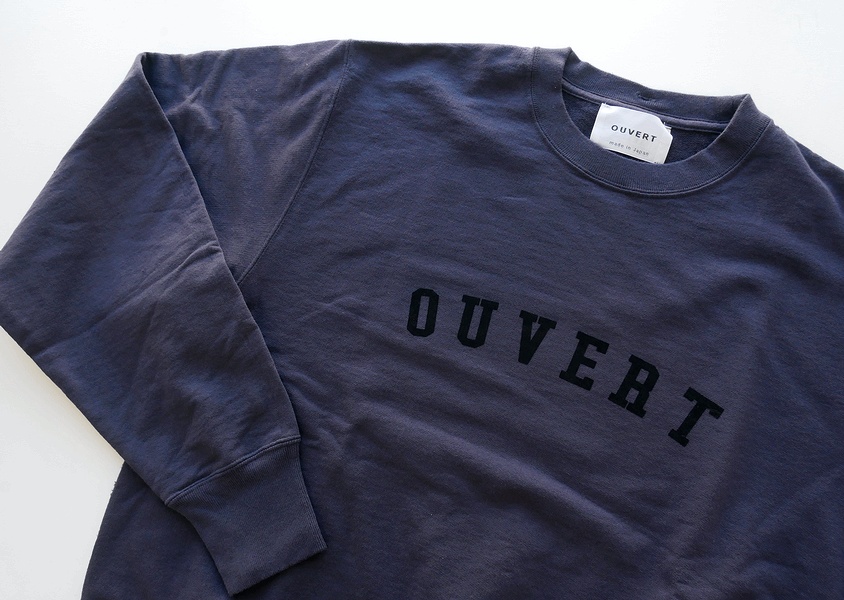 OUVERTʥˡ1610쥤ץC/N-PO(4)