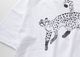��(g)(�����)��ŷ���ץ���Tee"CHEETAH"(3��)��