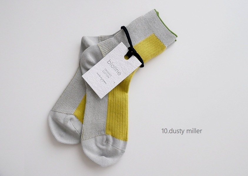 biollne(ӥ)ߥɥ楸㥬ɥԤۿå(5)