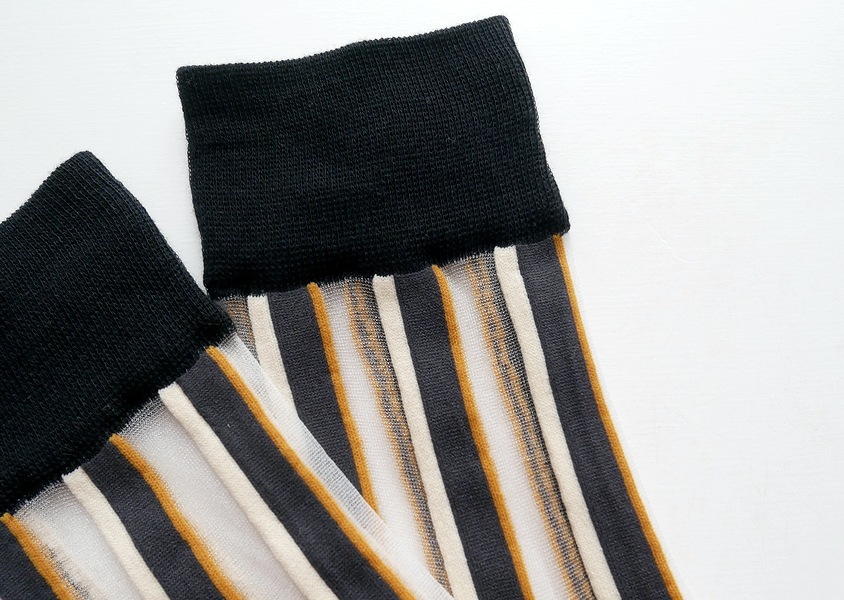 biollne(ӥ)ȥ饤å(4)