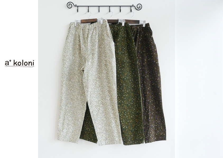 a+koloniʥˡˡ21ץȥѥ(3)