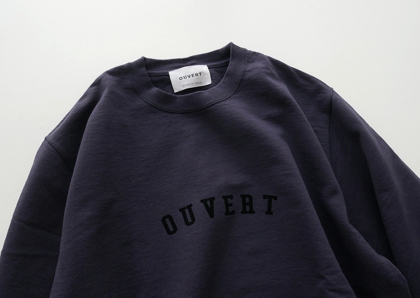 Hands of creationʥϥ󥺥֥ꥨˡ1610쥤ץC/N-ץ륪С(4)