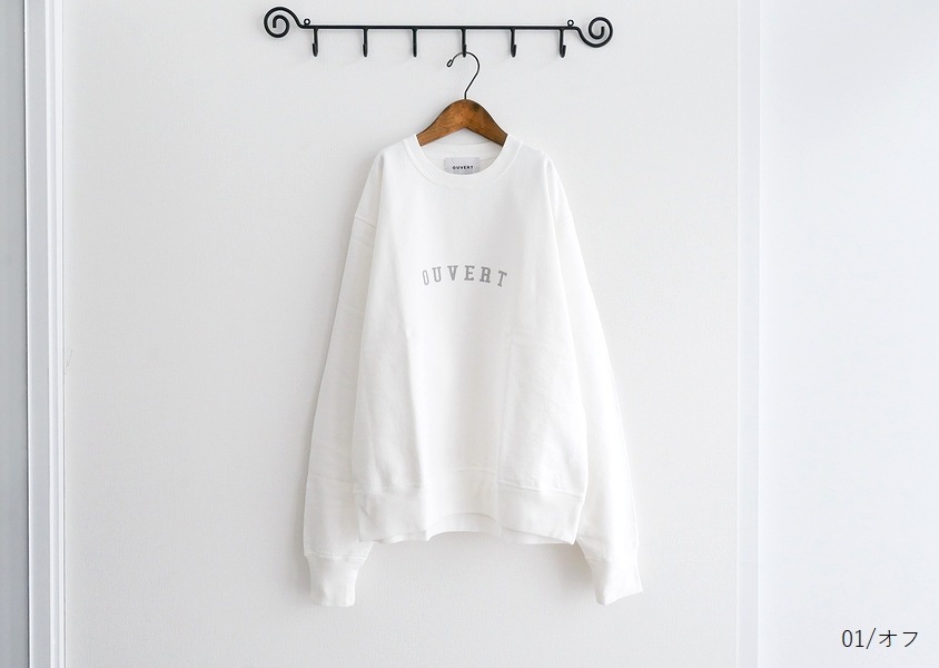 Hands of creationʥϥ󥺥֥ꥨˡ1610쥤ץC/N-ץ륪С(4)