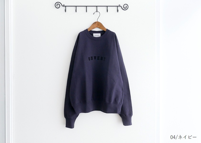 Hands of creationʥϥ󥺥֥ꥨˡ1610쥤ץC/N-ץ륪С(4)