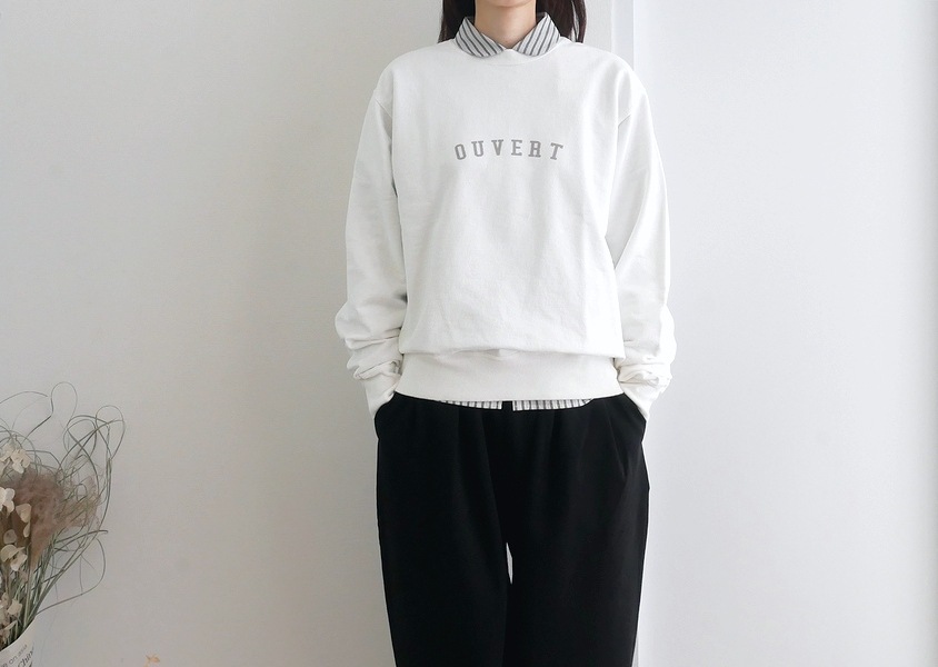 Hands of creationʥϥ󥺥֥ꥨˡ1610쥤ץC/N-ץ륪С(4)