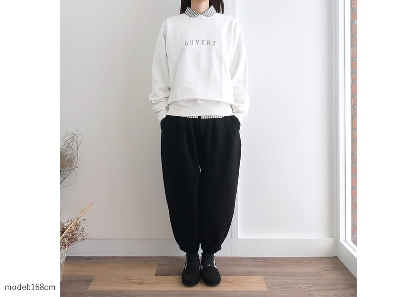 Hands of creationʥϥ󥺥֥ꥨˡ1610쥤ץC/N-ץ륪С(4)