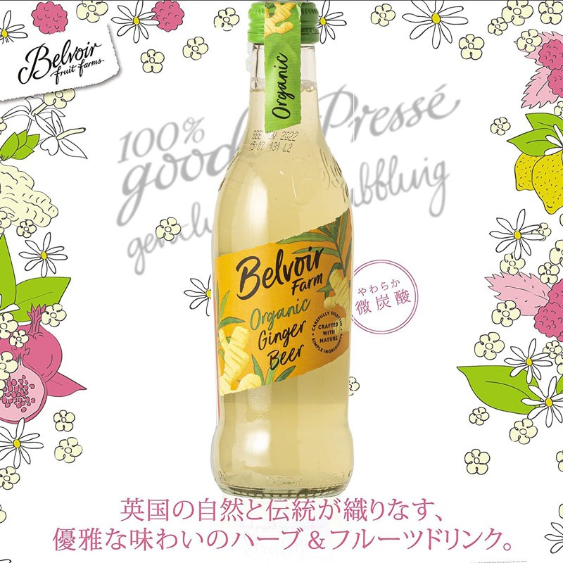 オーガニック　ジンジャービアー【ストレートタイプ】　２５０ｍｌ