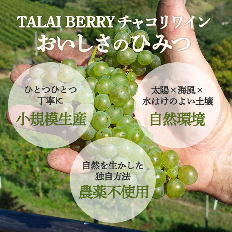 タライ・ベリ　チャコリワイン　７５０ｍｌ