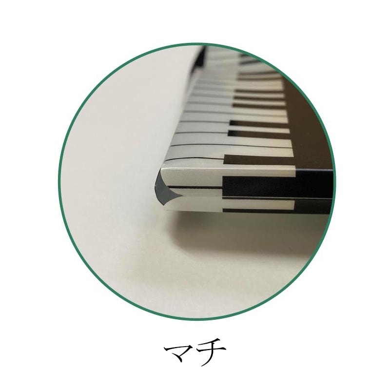 ߥ˥åSPåȡchat noir