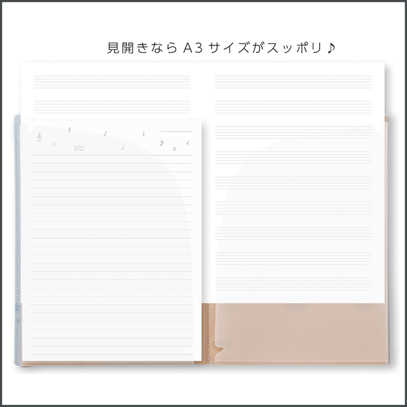 �ڿ��̸����2025���ޥ���ѥå���