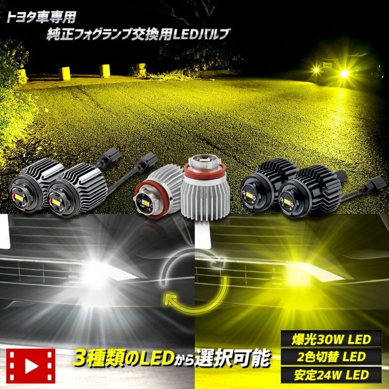 �ȥ西�����ѽ����ե������� ���٤�3������ [30�� �ۥ磻��] [2������] [24�� �ۥ磻��/��������] L1B �ե������ץХ�� ���뤤 �������饯���� 80�ϥꥢ�� ��ꥹ�������� [1]