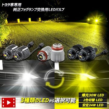 �ȥ西�����ѽ����ե������� ���٤�3������ [30�� �ۥ磻��] [2������] [24�� �ۥ磻��/��������] L1B �ե������ץХ�� ���뤤 �������饯���� 80�ϥꥢ�� ��ꥹ�������� [1]