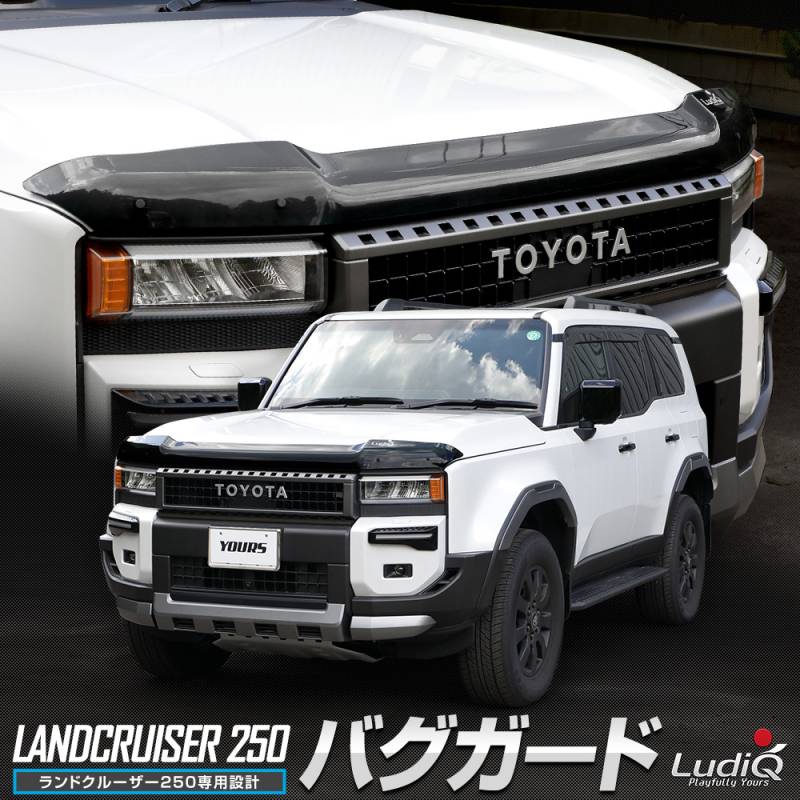 ランクル250マーカーランプ付きバグガード ランドクルーザー 250 専用 バグガード LAND CRUISER ランクル