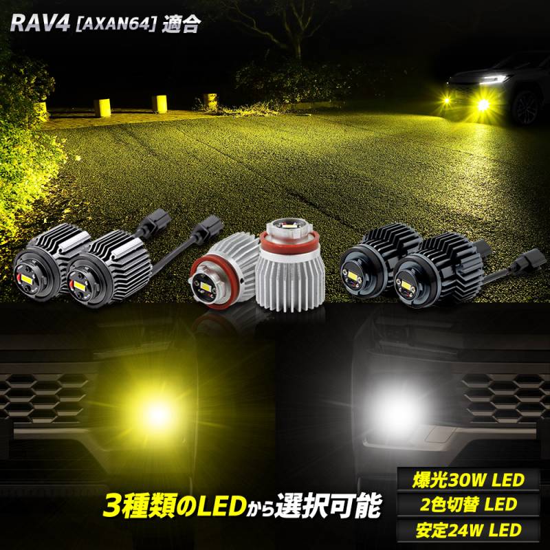 フォグランプ GIGA 車 LED LEDカラー 2色切り替え フォグランプ BW5161 LEDフォグ