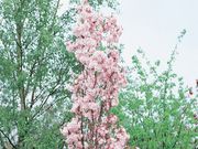 �� ŷ����1�ݥå�