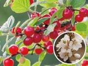 �椹�餦�ᡡ1�ݥå�