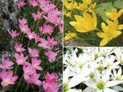 ��ǯ�褯�餯�̤�����3��60��