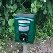 �����顼���ż����÷���� 1��+1�� ���2��