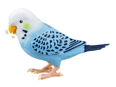 激安挑戦！！ 毎日おしゃべり天才インコちゃん 青色系 | スポーツ・レジャー 貨幣
