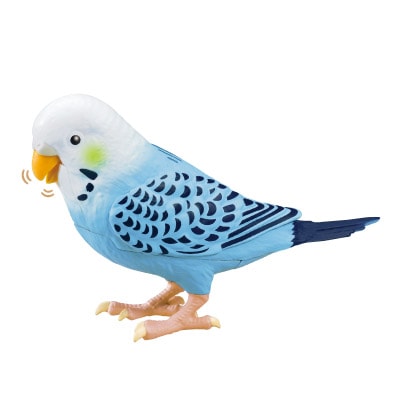 毎日おしゃべり天才インコちゃん 青色系 | スポーツ・レジャー・ホビー