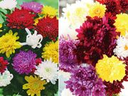 ���ٺ餭���صơ����磴��