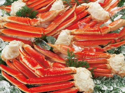 〔身入り抜群のA級品 〕ボイルずわいがに脚1.6kg（6〜8肩）〔代引不可〕 身入り抜群のA級品！ボイルずわいがに脚1.6kg（6～8肩）代