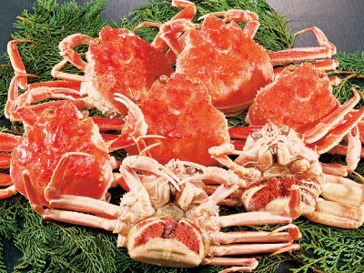 SAYMYNAME hellolive 1.0 2.0 3.0 カニー セット 訳ありボイルセコガニ1kgセット | カニ | 優生活