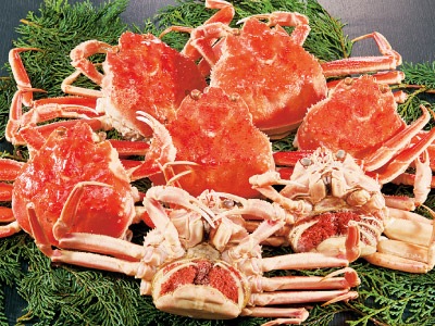 訳ありボイルセコガニ1kgセット | カニ | 優生活