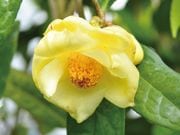 �������� ����㡡1�ݥå�