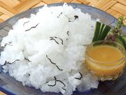 ���餷��1.2kg �ɻҿݤߤ�20���դ�