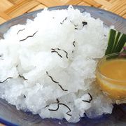 ���餷��1.2kg �ɻҿݤߤ�20���դ�