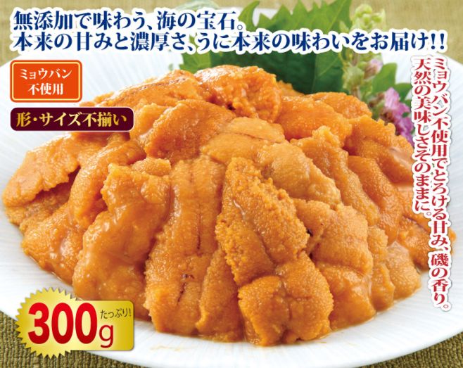 最安値特上塩うに1300円1本送料込ミョウバン無10本13000円 特選】先行予約 10月以降発送予定 塩水ウニ80g(エゾバフンウニ