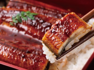 送料無料 特大うなぎ蒲焼き3尾セット | その他魚介類 | 優生活